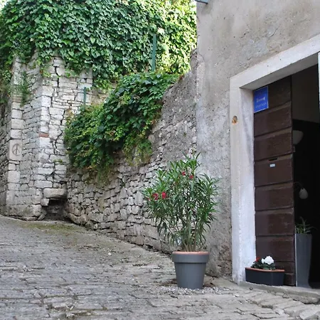 Daire Old Town Uspon